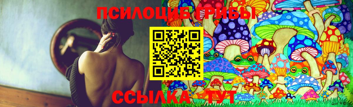 Тюмень  Псилоцибиновые грибы Magic Shrooms  где можно купить наркотик  Вход с VPN 