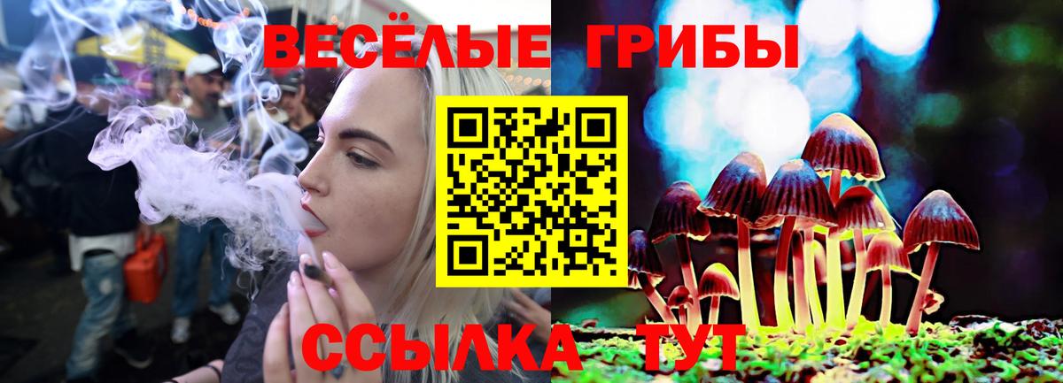 Псилоцибиновые грибы Cubensis Тюмень